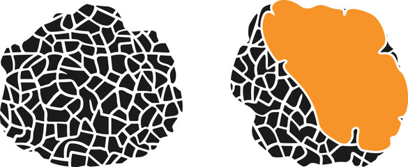 Obraz premium Chaga mushroom logo. Isolated chaga on white background