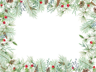 Evergreen branches with cones, red berries and herbs. Fir, pine, spikelet and St Johns wort berry. Christmas horizontal frame with empty space for text. Watercolor illustration isolated on white.