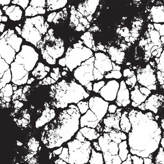 Obraz premium An abstract vintage texture in grunge black and white, featuring cracks, breaks, and stains. This grunge texture is characterized by damage and cracks