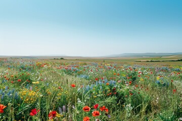 Obraz premium Vibrant Wildflowers Blooming in a Lush Meadow