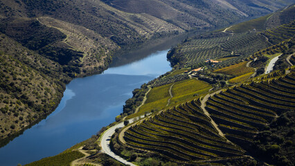 vila nova de foz coa wine valley