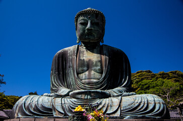 日本の横浜にある鎌倉の大仏