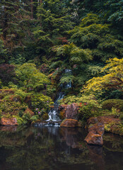 Waterfalls in the forest 