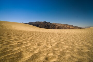 sand dunes in park