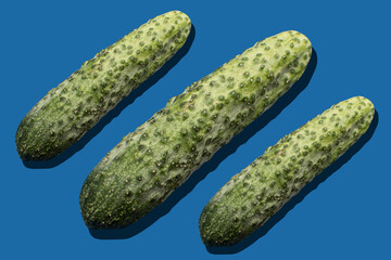 Pattern with a Cucumber on blue background