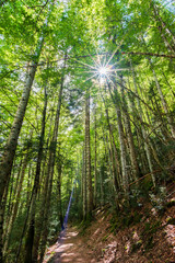 Camins del GR11 🇵🇱