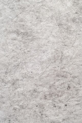 Fototapeta premium Light Gray Kraft Paper Flat Texture