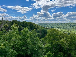 Obraz premium Gauja National Park in Latvia