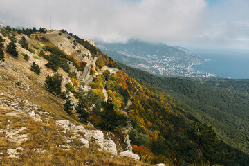 Scenic View of Ocean and Mountains with Trees and Clouds in Background Tranquil Nature Landscape with Majestic Coastal Beauty
