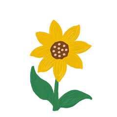 cute sunflower png