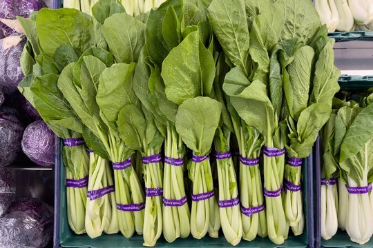 Fresh Choy Sum neatly placed in a bucket.