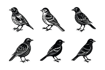 set of bird Black Silhouette Bundle - Stunning Vector Illustrations for Wild or domestic animals Nature Lovers, isolated on white