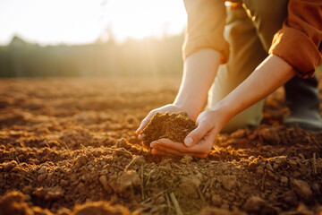 Close-up of a farmer hands holding black soil in their hands, fertile land. Garden field ground fertile concept.
