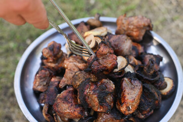 pieces of cooked shish kebab meat on a tray