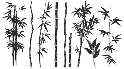 Obraz premium Bamboo Silhouette. Engraved Nature Border Collection with Stem and Leaves in Asian Style
