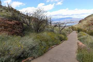 Views from the lower cliff dwelling trail, Tonto National Monument, Arizona