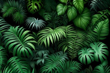 Tropical rainforest foliage plants bushes (ferns, palm, philodendrons and tropic plants leaves) in tropical garden on black background.