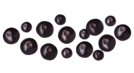 Many acai berries in air on white background