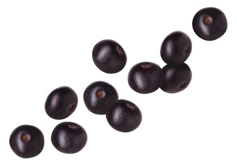 Many acai berries in air on white background