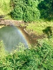 waterfall in the jungle