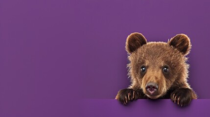 Adorable Bear Cub Peeking Out from a Clean Studio Background with Space for Text