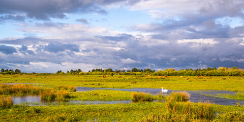 Le marais du Crotoy sous un ciel chargé en Baie de Somme