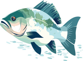 Obraz premium Elegant and colorful bass fish vector illustration for print, tshirt, wall art,