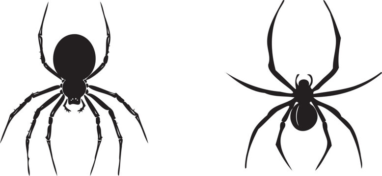 set of black spider silhouette