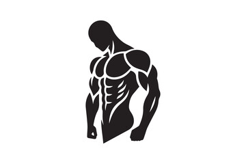 muscular chest body builder gym fitness silhouette