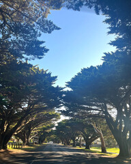 Drive along one of Melbourne's road 