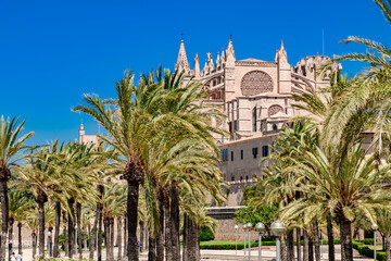 Palma's Parc de La Mar with palm trees and the Cathedral of St. Mary  - Mallorca - 8107