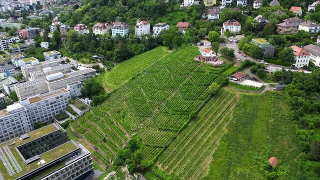 Drohnenaufnahme von Weinbergen in Stuttgart.