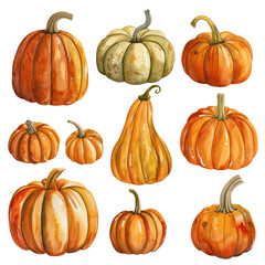 A collection of various colorful pumpkins and gourds, perfect for autumn and Thanksgiving themes isolated on white or transparent png background