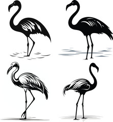Obraz premium Hand drawn flamingo silhouette vector illustrations.