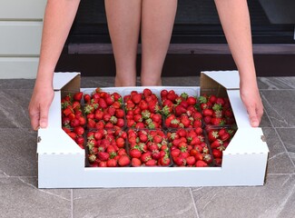 Fototapete bei efototapeten.de bestellen   