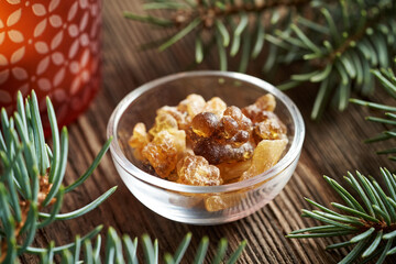 Frankincense or boswellia resin in a glass bowl with spruce branches