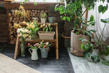 A fragment of the interior with a variety of indoor plants and plaster sculptures. Urban jungle concept. Biophilia design.