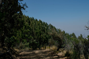 Parque Tunari Cochabamba