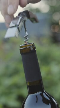 Hands of man opening bottle of red wine with a corkscrew in park at sunset, close up. Vertical video.