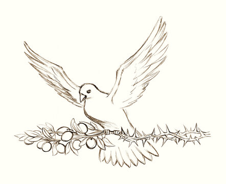 Pencil drawing. The Holy Spirit in the form of a dove turns a thorn tree into an olive branch