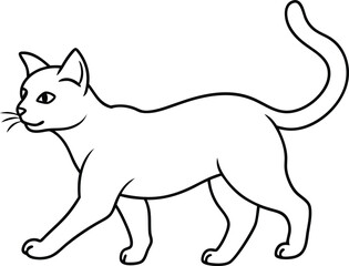 Cat vector illustration