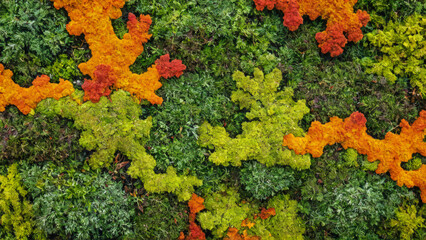 Abstract art composition made entirely from various types of colorful decorative moss and different colorful shapes. Visually striking, natural moss textures, shapes and patterns.