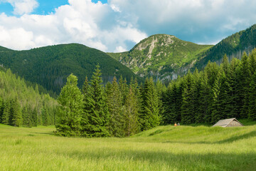 Fototapeta premium Mountain glade Jaworzynka in the Tatras, Poland. Beautiful summer landscape in the mountains