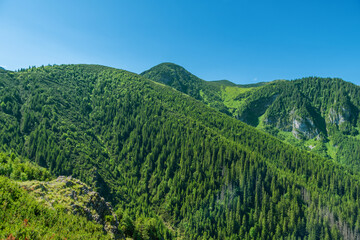 Beautiful summer landscape in the Tatra Mountains, Poland. Natural background.