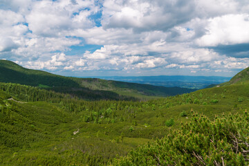 Beautiful summer landscape in the Tatra Mountains, Poland. Natural background.