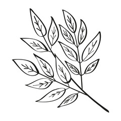 Autumn summer twig sprout plant with leaves drawn with one black line outline for decorative pattern. Flat doodle style. Vector illustration.