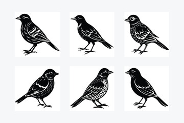 Illustration bird icon black silhouette vector art design