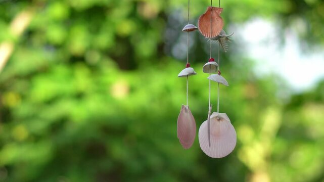 seashell wind chime blowing in the wind