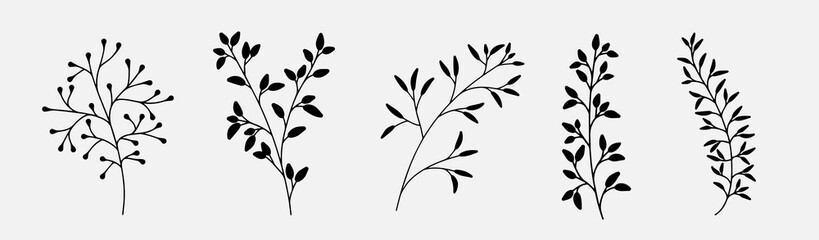 Hand drawn branches with leaves isolated on white background