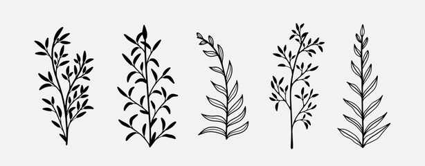 Hand drawn branches with leaves isolated on white background